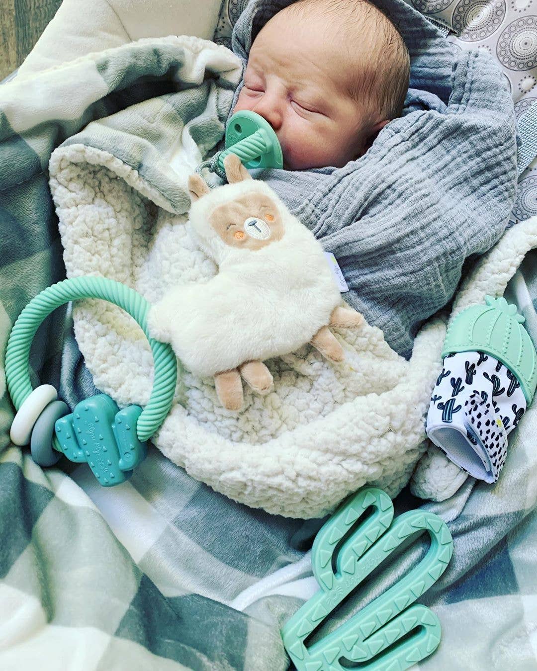 Sweetie Pal™ Plush & Pacifier: Llama