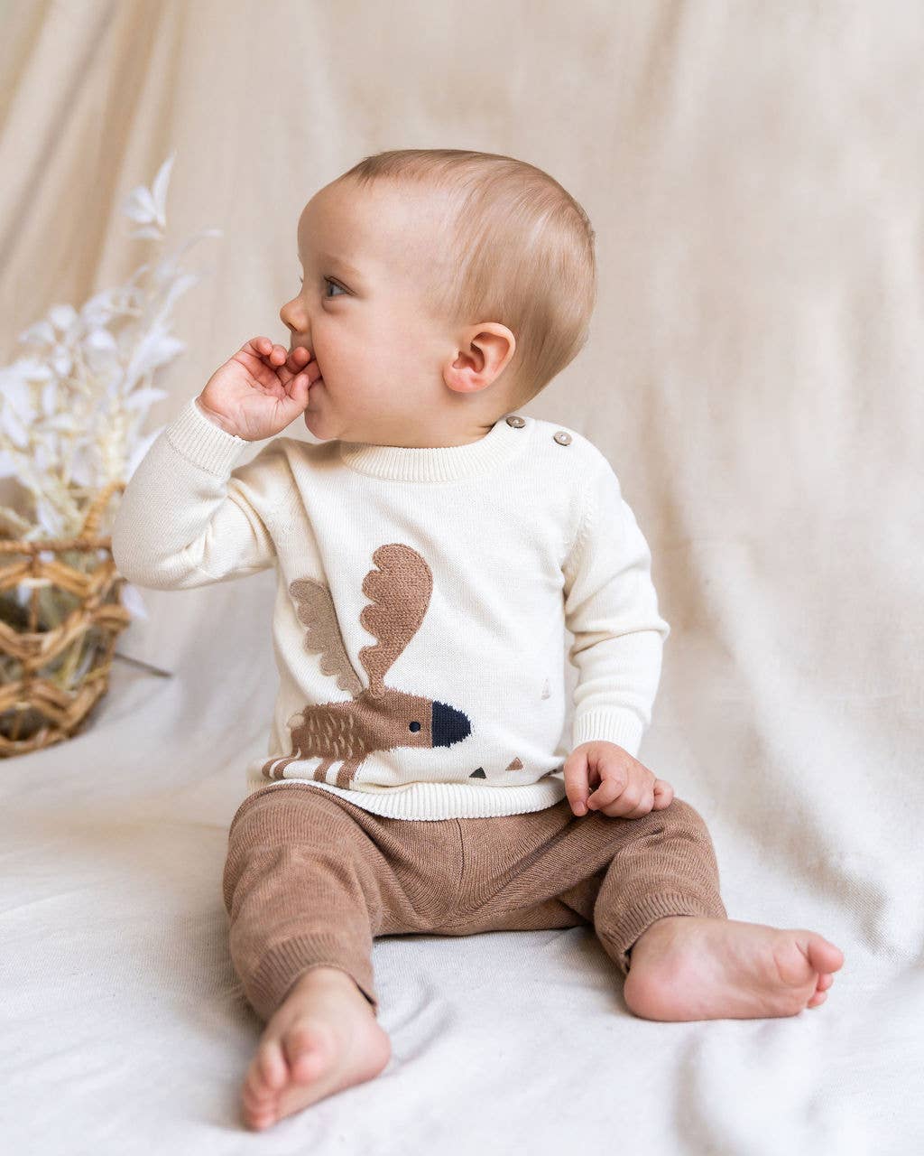 Moose Jacquard Knit Sweater (Organic Cotton)