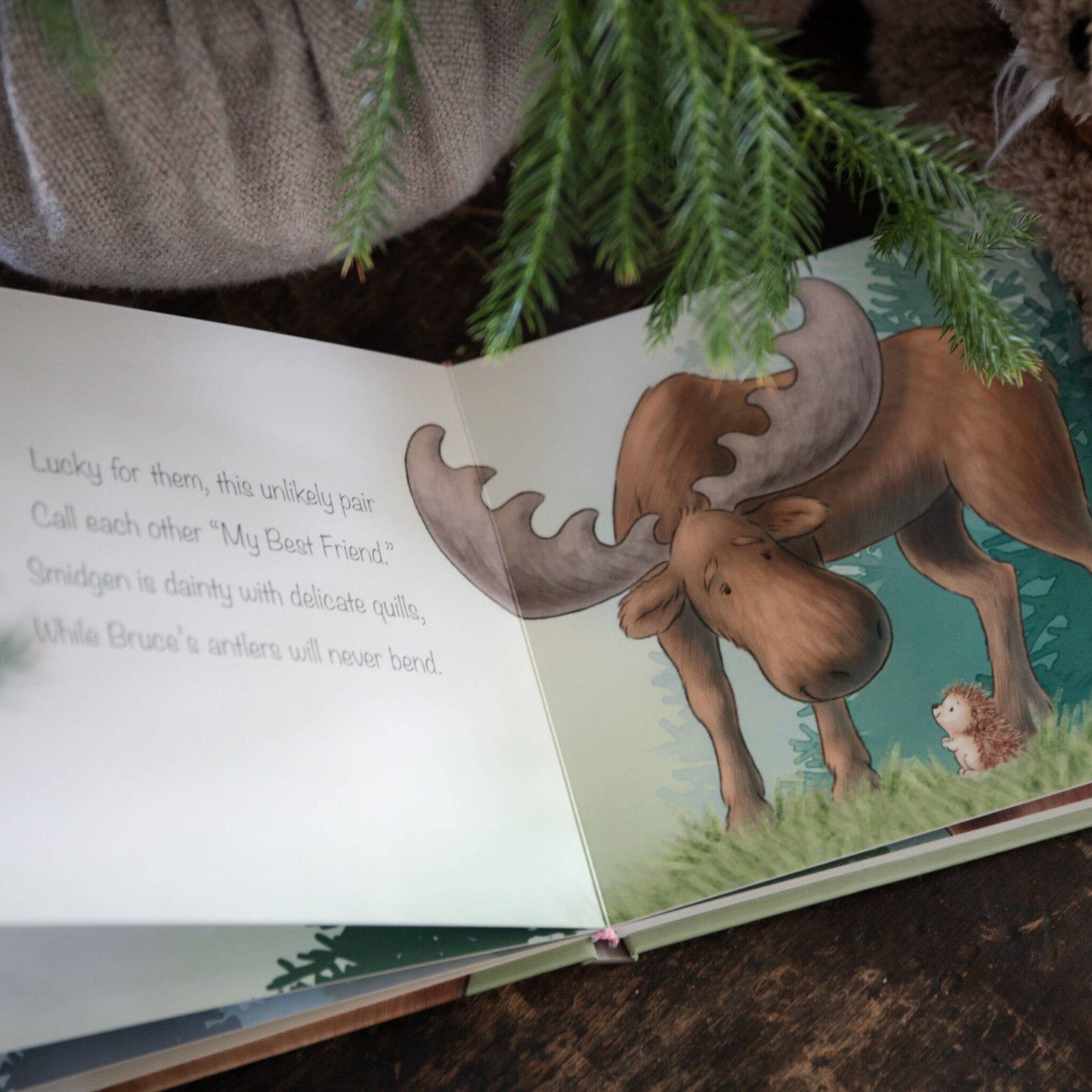 Smidgen and Bruce A Big Friendship - Board Book