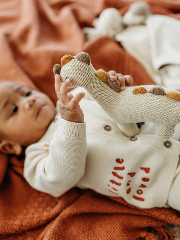 Little Dino - Organic Knit Stuffed Animal Baby Toy