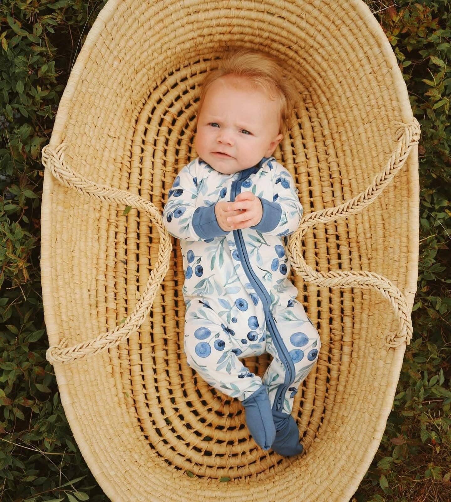 Jaycob - Maine Wild Blueberry Zippy Romper