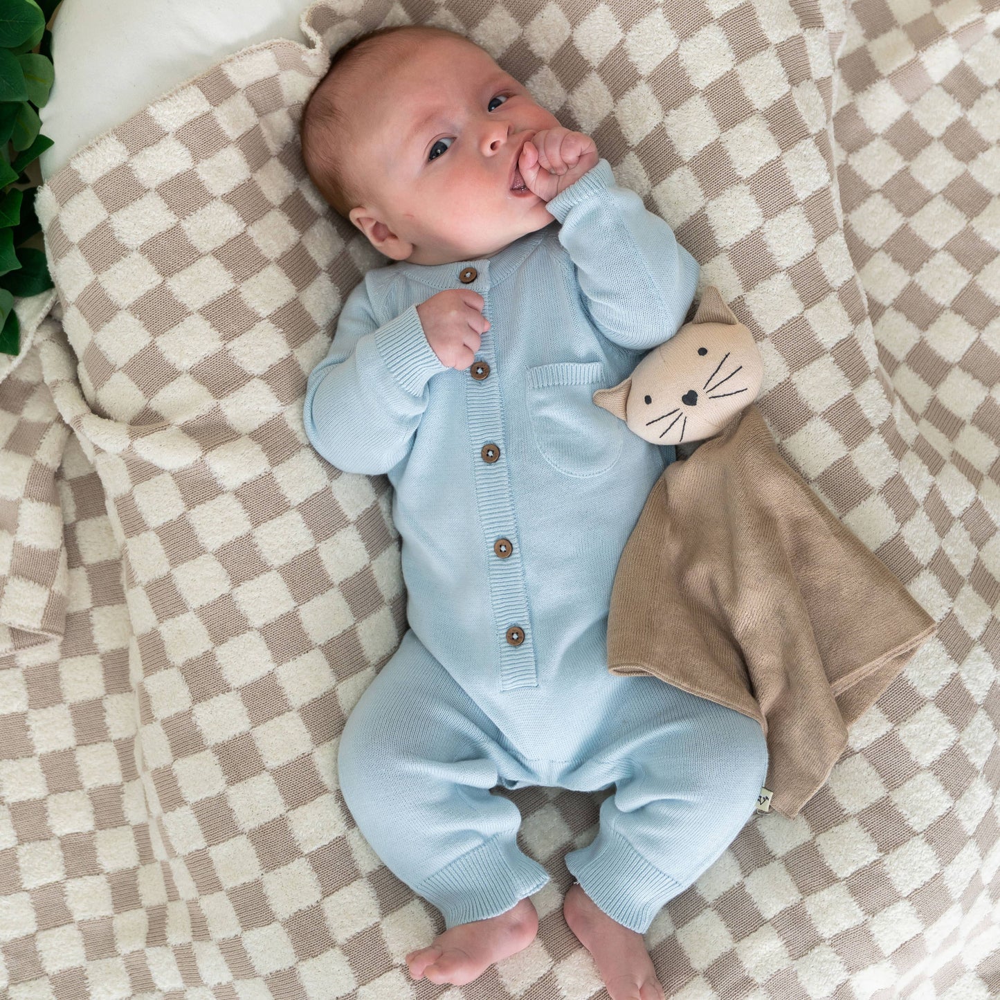 Kitty Cat - Organic Baby Lovey Security Blanket
