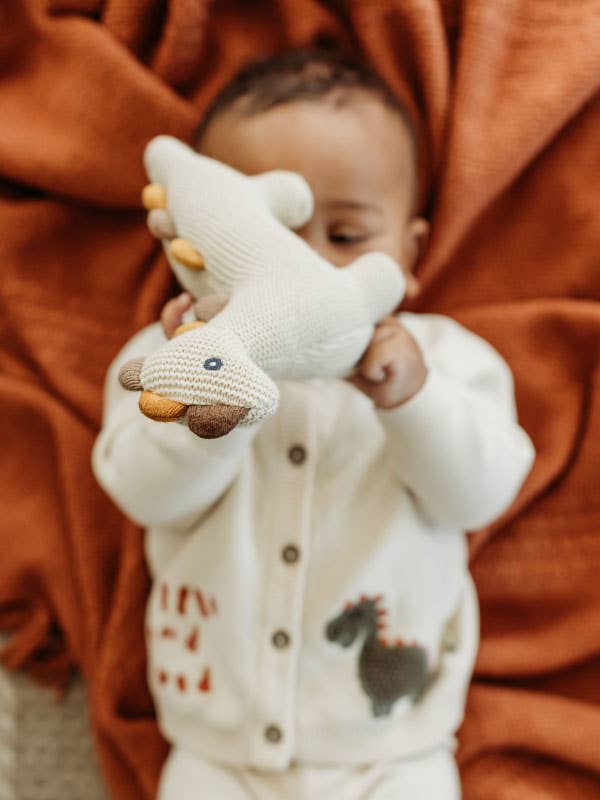 Little Dino - Organic Knit Stuffed Animal Baby Toy