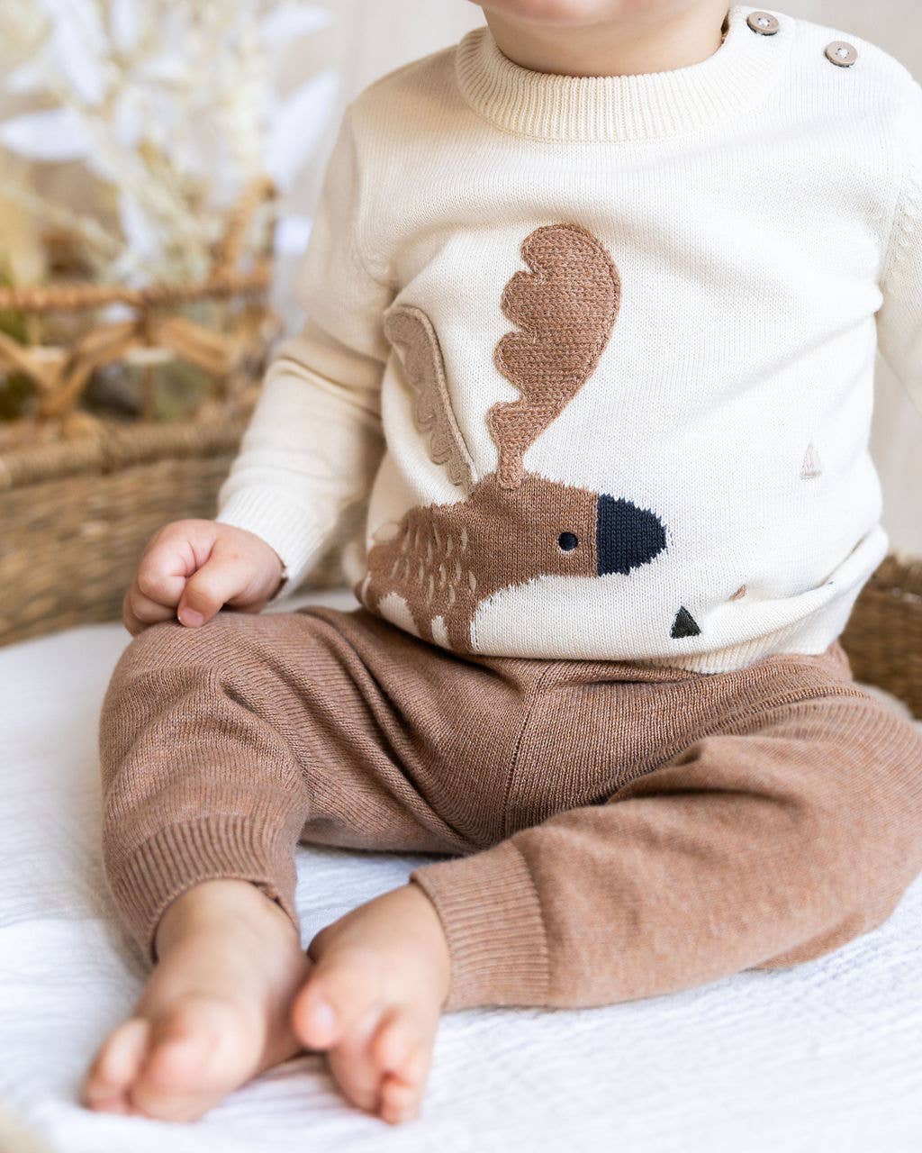 Moose Jacquard Knit Sweater (Organic Cotton)