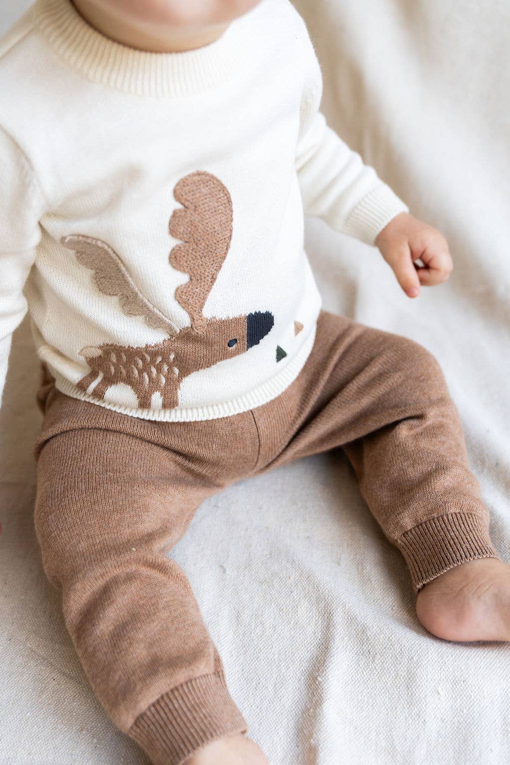 Moose Jacquard Knit Sweater (Organic Cotton)