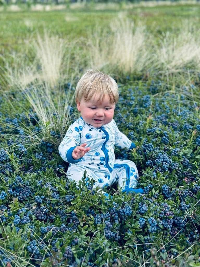 Jaycob - Maine Wild Blueberry Zippy Romper